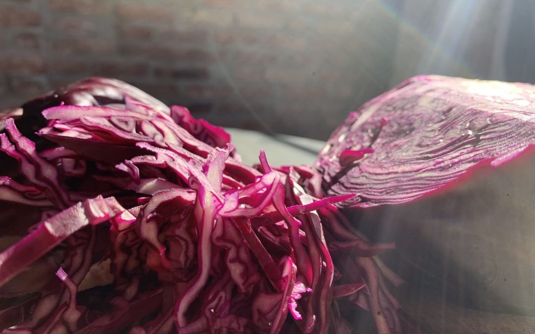 Questo mese mangia… il cavolo rosso